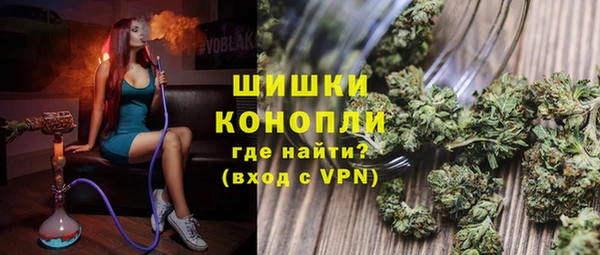 сатива Балахна