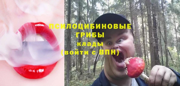 сатива Белоозёрский