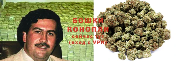 сатива Балахна